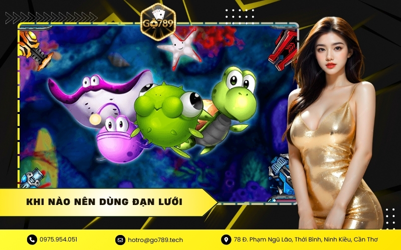 Khi Nào Nên Dùng Đạn Lưới